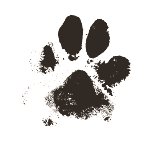 padfoot fables